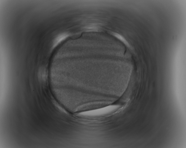 X0000086241450200704261906