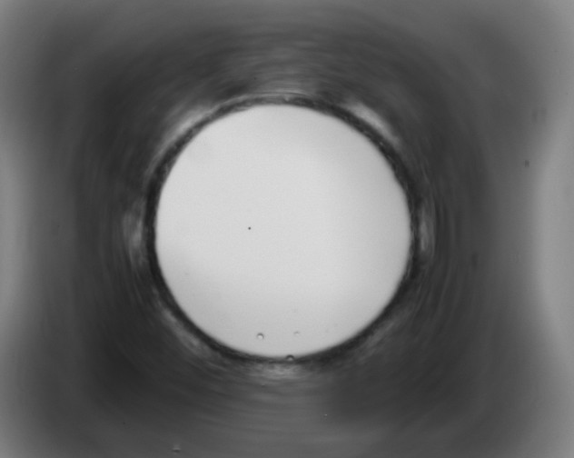 X0000086241452200704261906