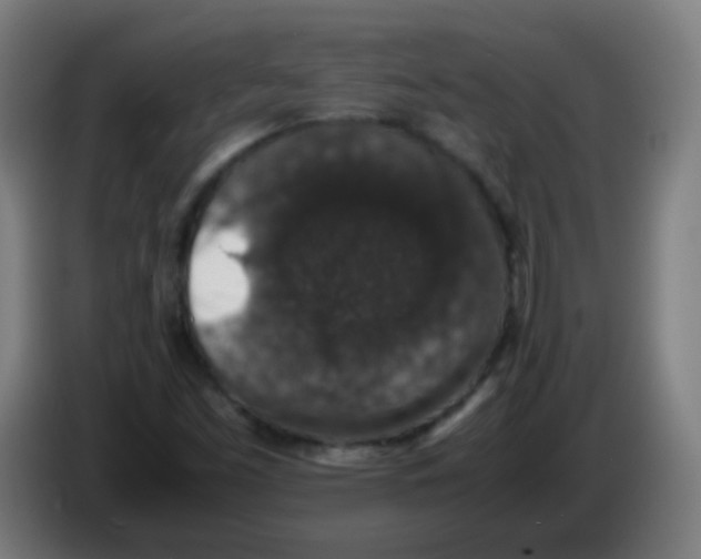 X0000086241453200704261906