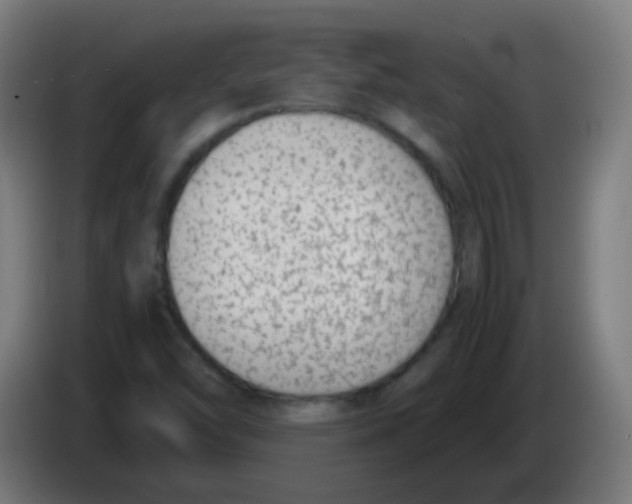 X0000086241454200704261906
