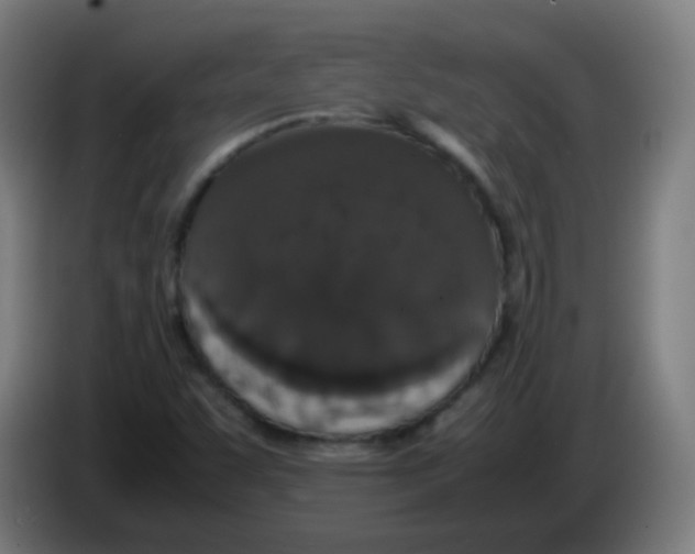 X0000086241455200704261906