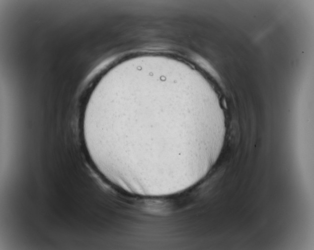 X0000086241456200704261906