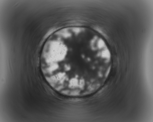 X0000086241459200704261906