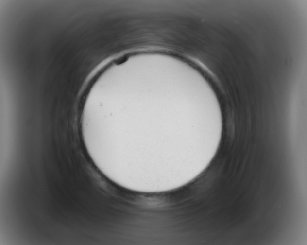 X0000086241460200704261906