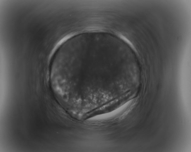 X0000086241461200704261906