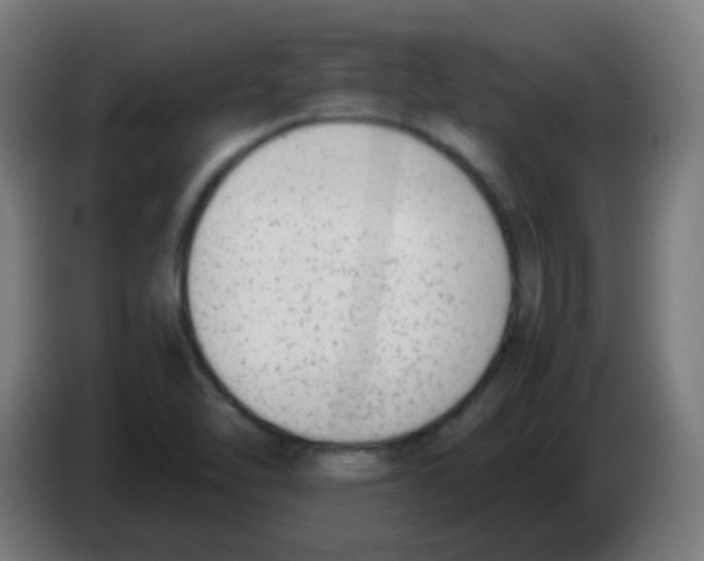 X0000086241462200704261906