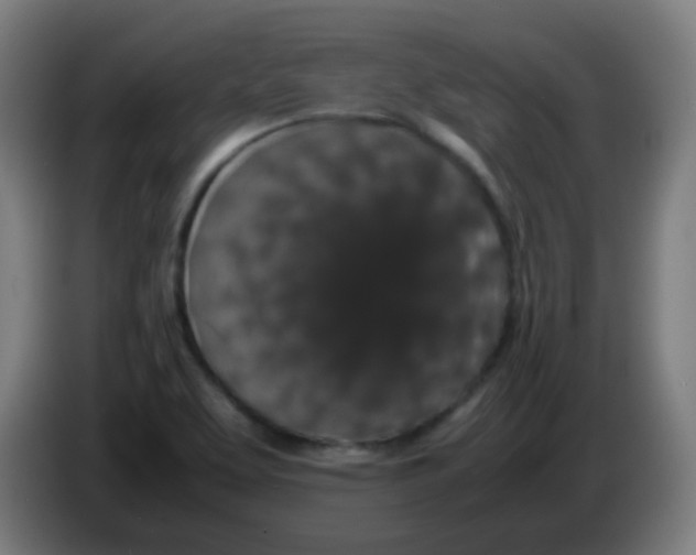 X0000086241463200704261906