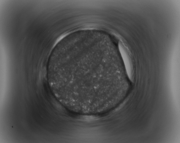 X0000086241465200704261906