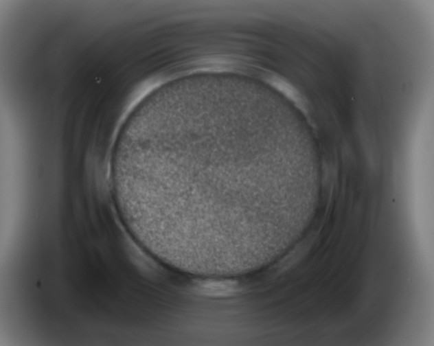 X0000086241466200704261906
