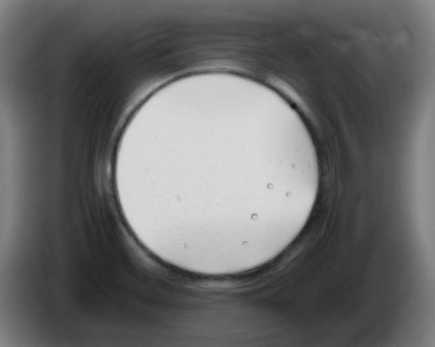X0000086241468200704261906