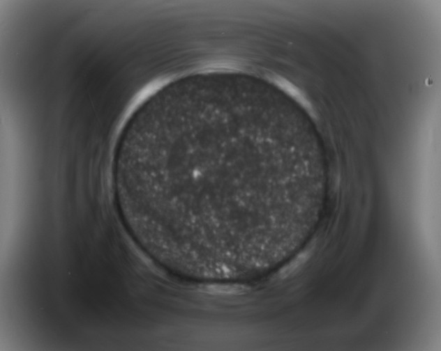 X0000086241469200704261906