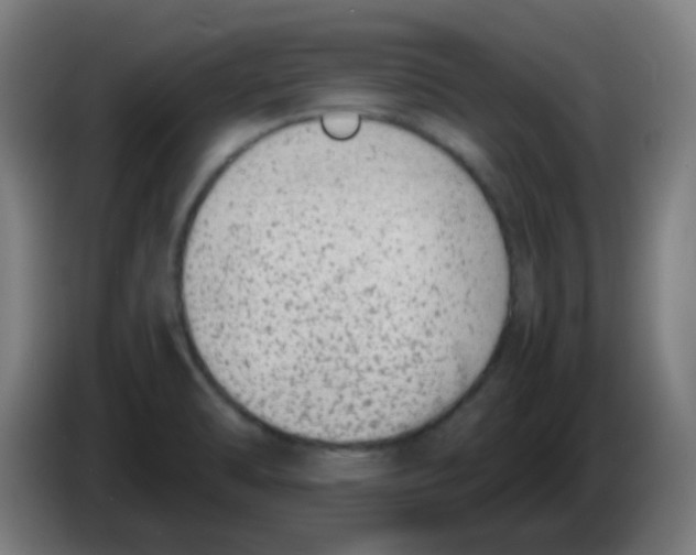 X0000086241470200704261906