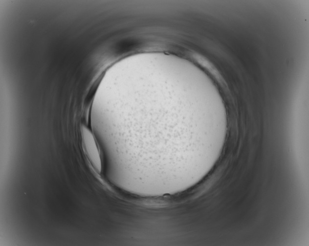 X0000086241473200704261906