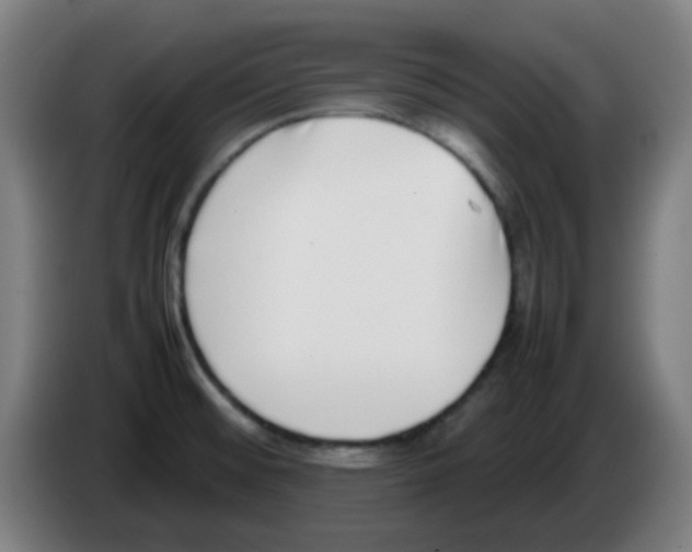 X0000086241476200704261906