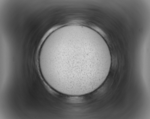 X0000086241478200704261906