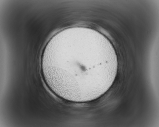 X0000086241479200704261906