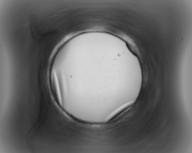 X0000086241480200704261906