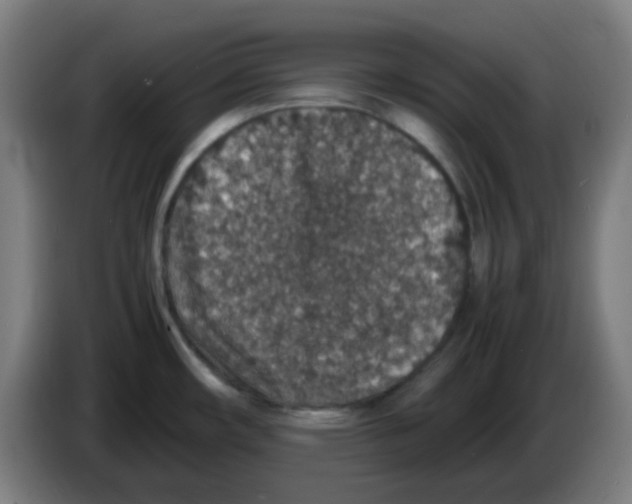 X0000086241482200704261906
