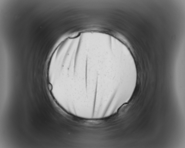 X0000086241483200704261906