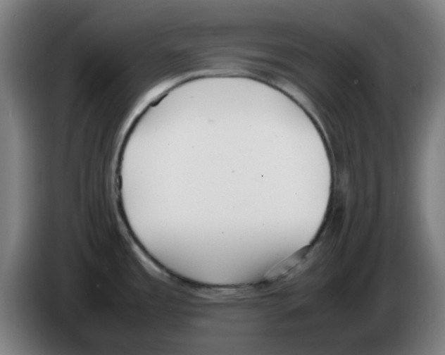 X0000086241485200704261906
