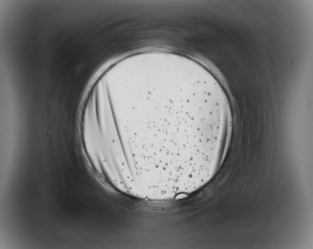 X0000086241488200704261906