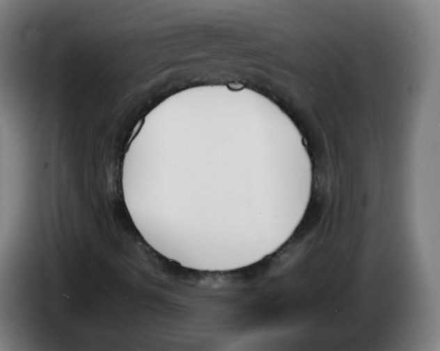 X0000086241490200704261905