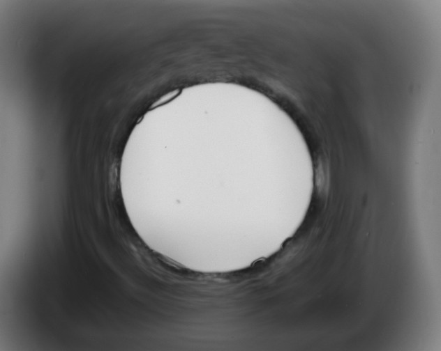 X0000086241492200704261905