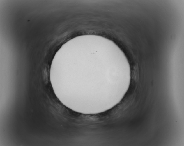 X0000086241493200704261905