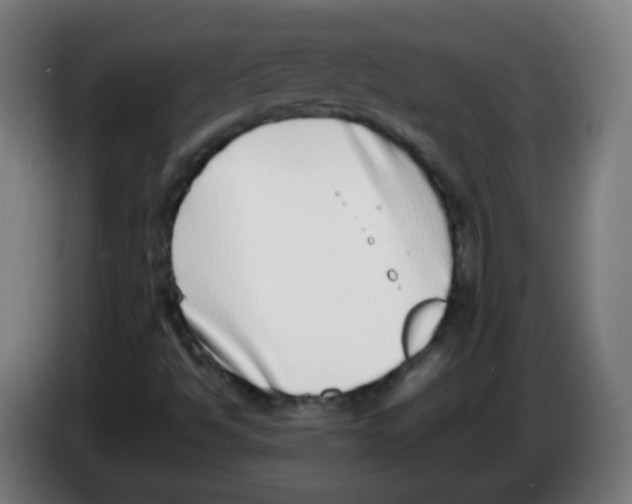 X0000086241494200704261905