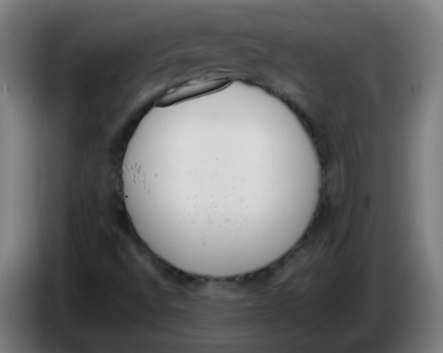 X0000086241496200704261905