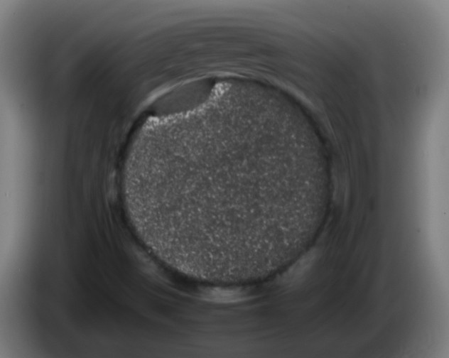 X0000086241497200704261905