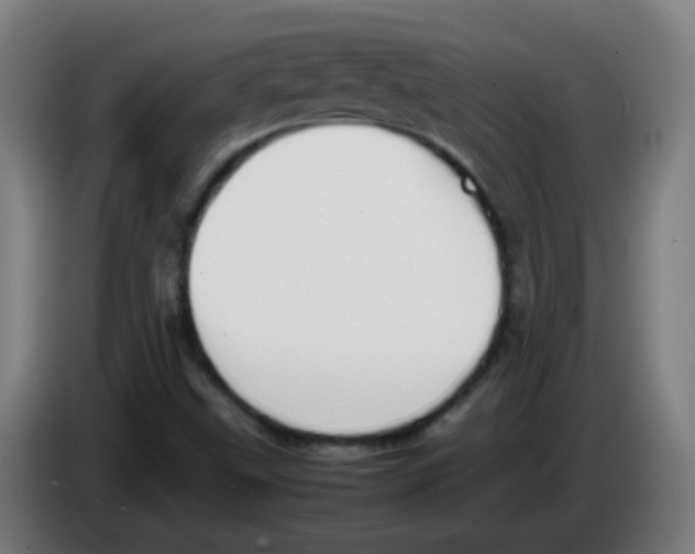 X0000086241499200704261905