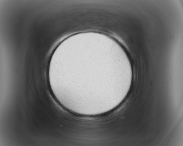 X0000086241500200704261905