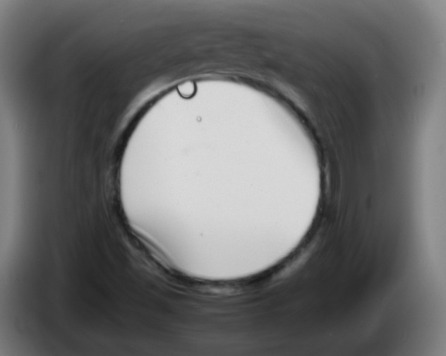 X0000086241501200704261905