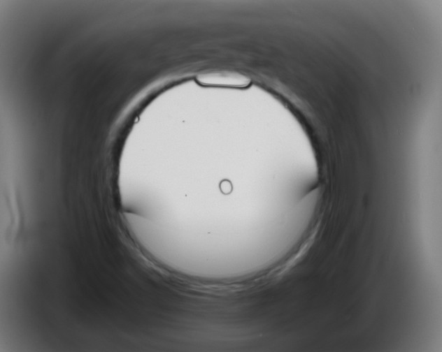 X0000086241502200704261906