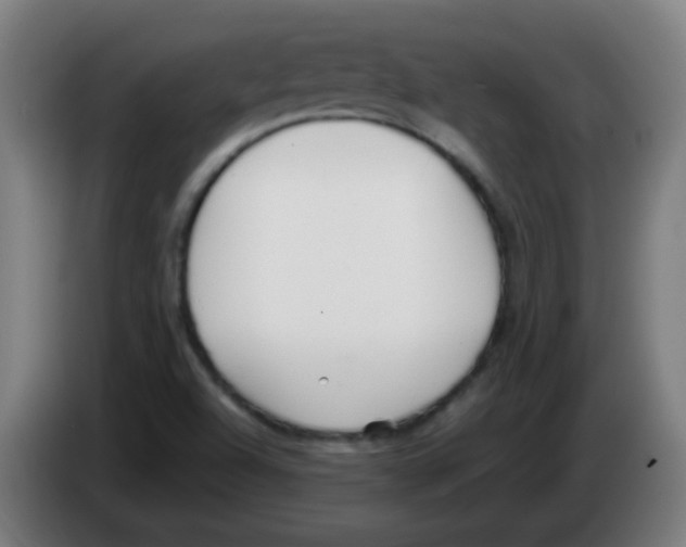 X0000086241504200704261906