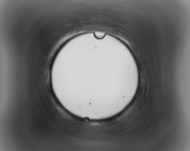 X0000086241507200704261906