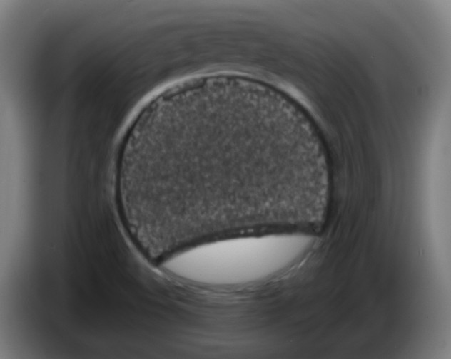 X0000086241508200704261906