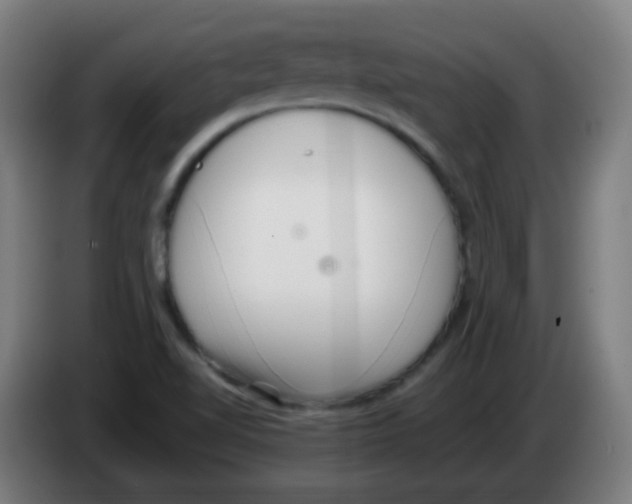 X0000086241510200704261906