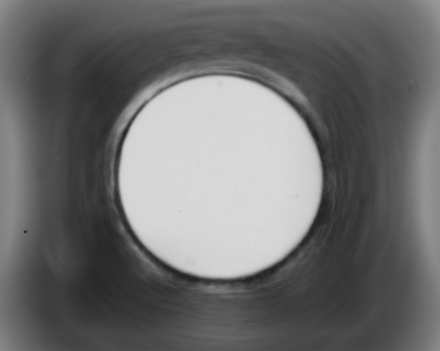 X0000086241512200704261906
