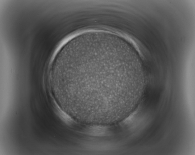 X0000086241514200704261906