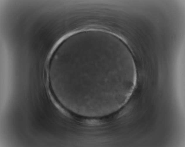 X0000086241515200704261906