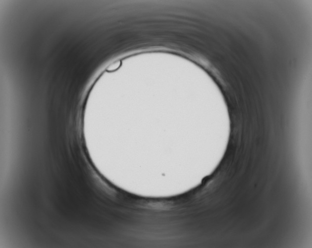 X0000086241516200704261906
