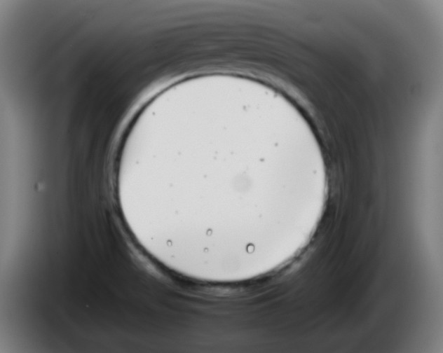 X0000086241517200704261906