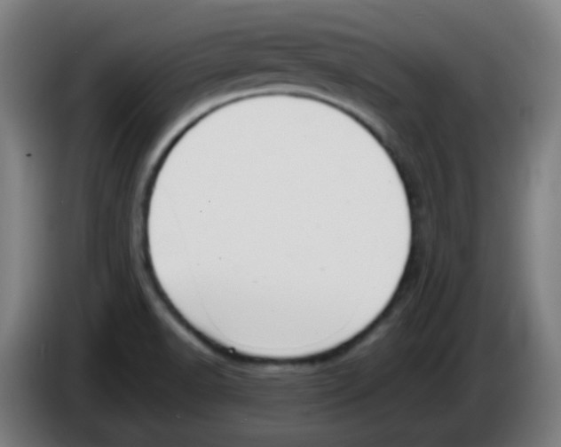 X0000086241518200704261906