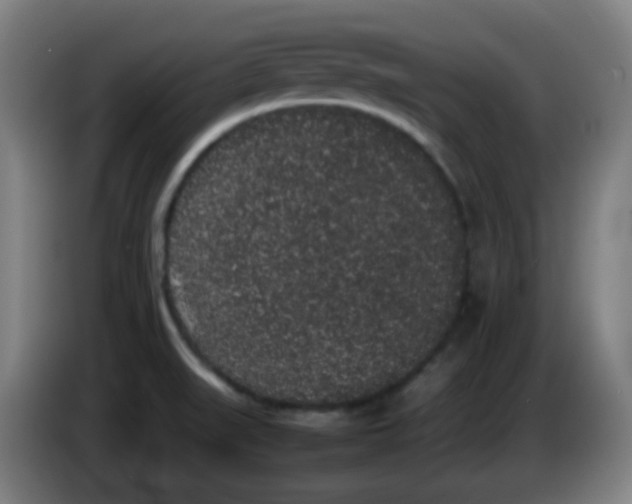 X0000086241519200704261906