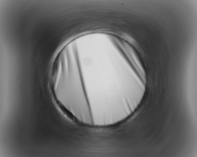 X0000086241520200704261906