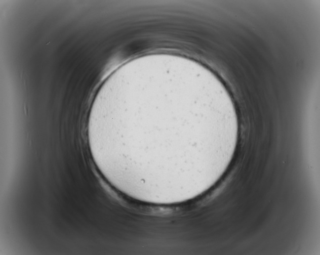 X0000086241521200704261906