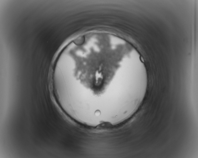 X0000086241522200704261906