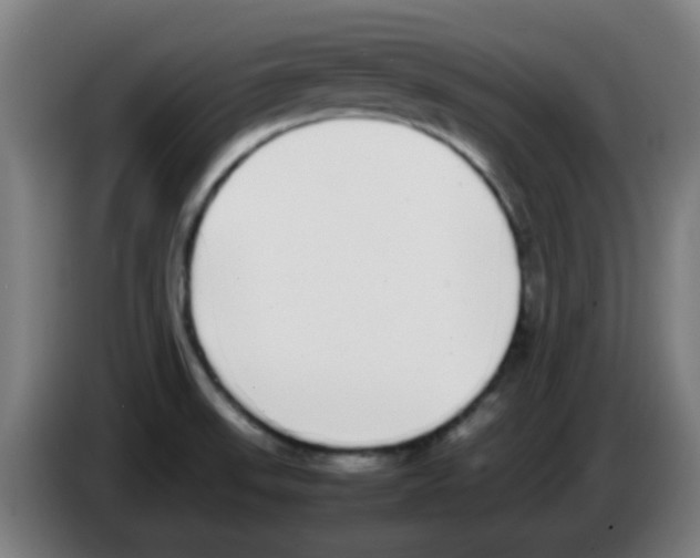 X0000086241523200704261906